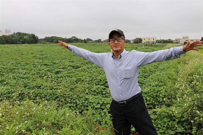 映象農場園主曾德麟今年初開始與4名好友合作，打造5甲大的地瓜田。（蔡明亘攝）