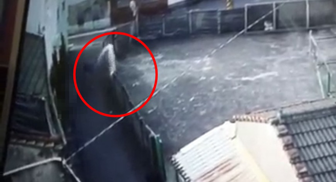 邻居长年朝他家泼粪水，他怒揭发恶行，网：「围墙盖高一点」。（图／截自爆料公社）