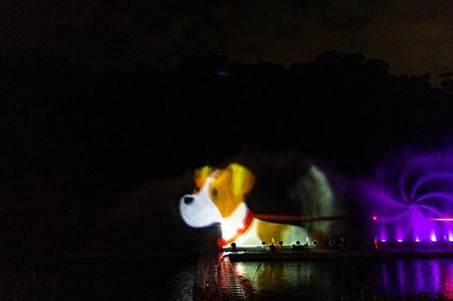 ▲与可爱的宠物来碧潭赏水舞是初夏假日的绝佳选择。　图：新北市政府观光旅游局／提供
