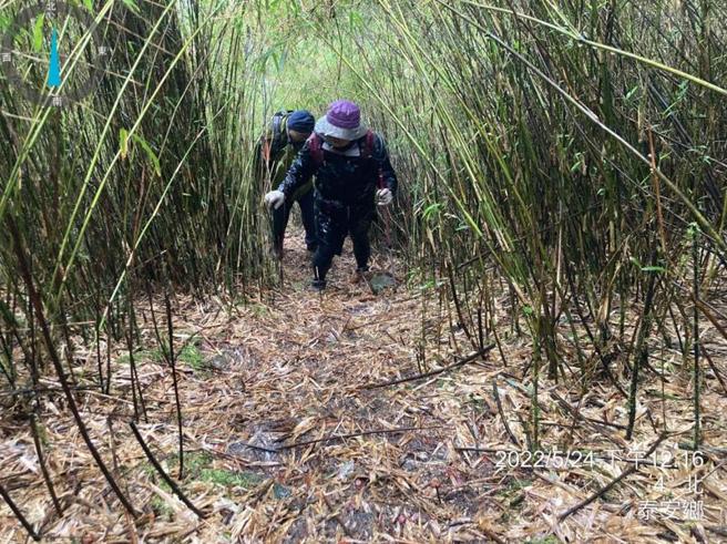 林姓女子跟随网友前往苗栗与台中交界的拾丸山登山步道，回程途中迷路加上体力不支落队与其他3人走散，又2度摔落箭竹林，在山上过了一夜，隔天自行打119报案，幸及时获救。（图/ 中央社）
