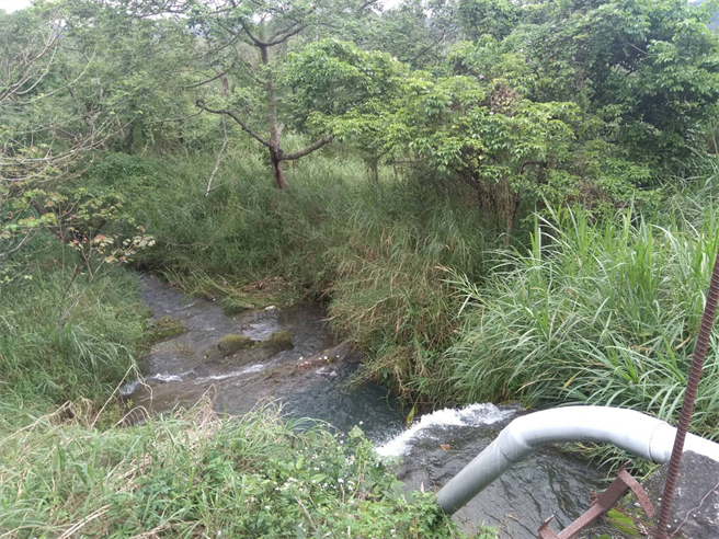 油罗溪生态亲水公园基地长期荒废、杂草覆盖。（横山乡公所提供／王惠慧新竹传真）