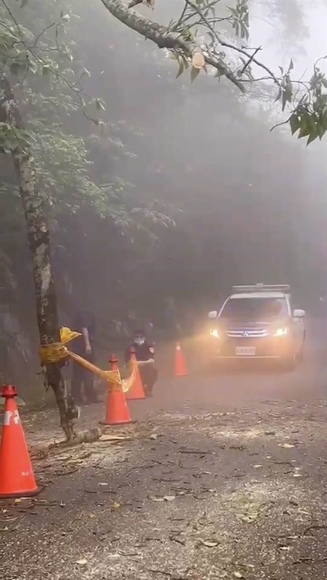 大湖分局大兴所长柯光文发现泰安国中小学旁南清道路路树倒塌，立即警戒通报清除。（大湖警分局提供／谢明俊苗栗传真）