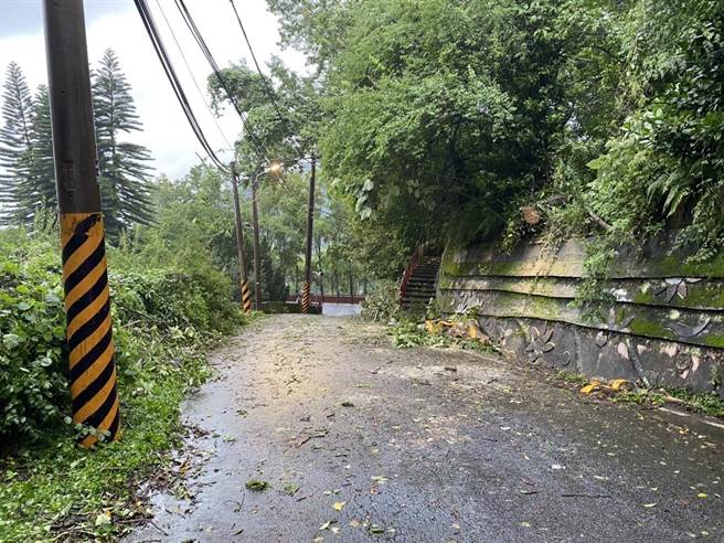 大湖分局大兴所长柯光文发现泰安国中小学旁南清道路路树倒塌，立即警戒通报清除。（大湖警分局提供／谢明俊苗栗传真）