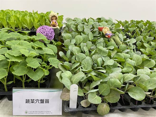 青农表示，传统以白板与纸本纪录销存，缺点是管理不易，且无法将数据加值利用，无法统整也就不知道季度或年度出货量，使用该系统已经有1年，除了人工成本大幅降低，也有效解决产销的问题。（李柏澔摄）