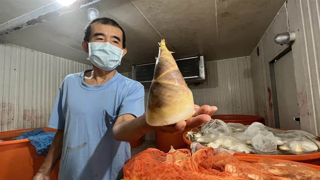 台南市白河区农会蔬菜产销班第7班长林源正说，白河地质出产的绿竹笋甜度、口感都极佳。（张毓翎摄）