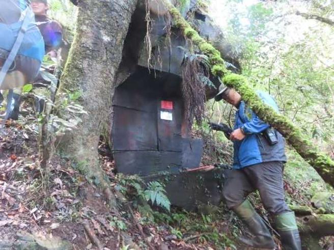 政府宣布全面禁伐天然林后，检、警、林三方合作广泛设置「山老鼠雷达站」盗伐通报平台QR Code于盗伐热点、步道登山口及沿线，方便山友扫描通报。(图／嘉义林区管理处提供)