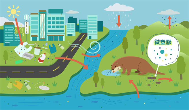 绿色和平在去年发起台湾「保育类野生动物的微塑胶污染」研究调查，今天指出金门独有的「欧亚水獭」，其排遗和生活的水域，包含观光热区太湖流域，微塑胶检出率皆有将近8成。（绿色和平提供／林良齐台北传真）