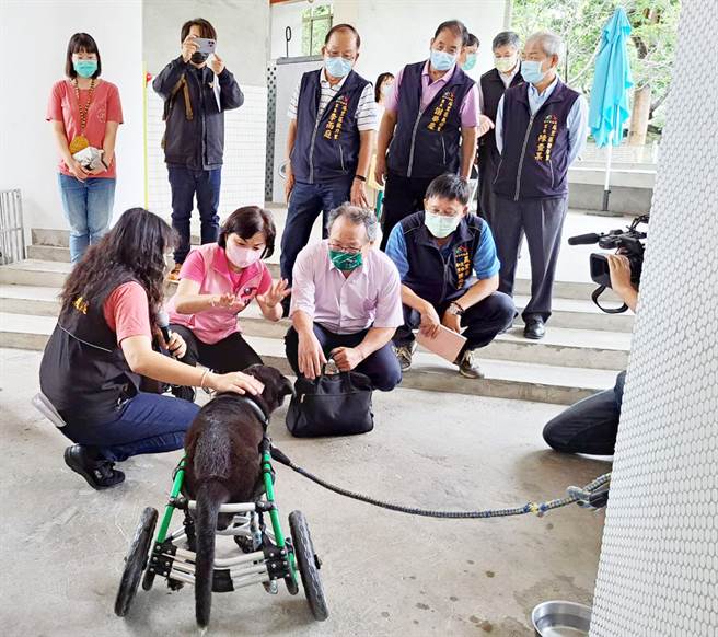 立委杨琼璎（前左二）向农委会副主委黄金城（前左三），解说台中动物之家后里园区动物的收容情形。（陈世宗摄）