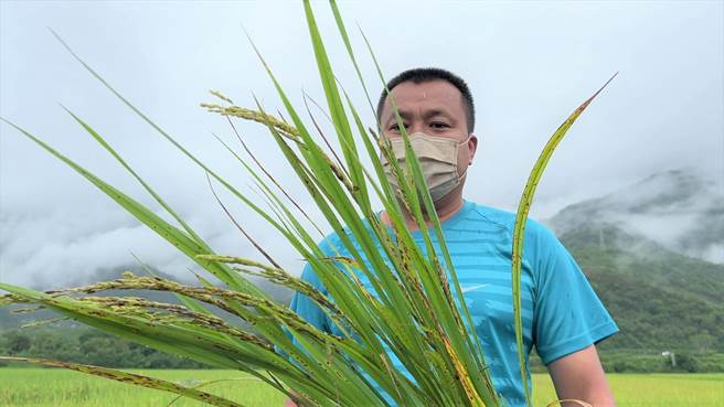 農民范虔彰苦笑表示，去年二期就很嚴重，今年比當時更嚴重。 （蔡旻妤攝）