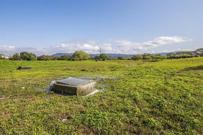 水公司2月试运转将员岽净水场回收处理废水送进竹东河滨公园乾涸的生态池，因池底不织布破损无法蓄水，仍是「青青草原」。（罗浚滨摄）