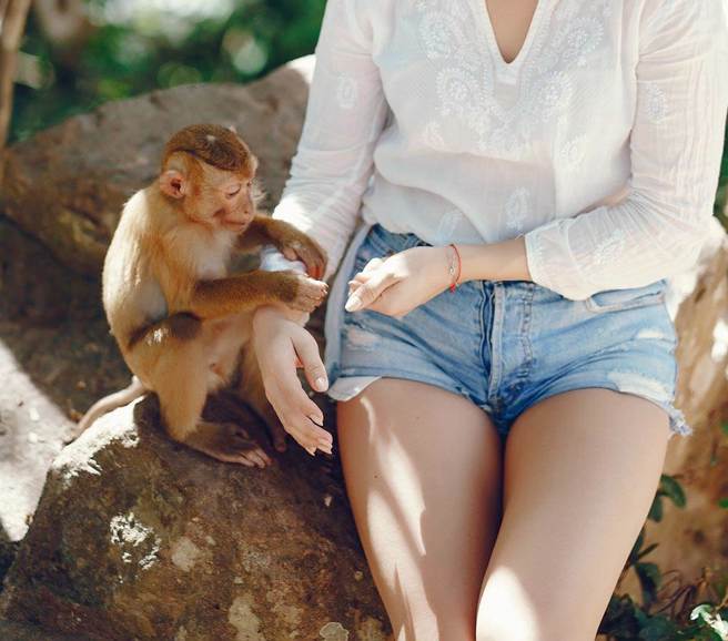 国外一名女子遭到猴子咸猪手，让她当场哭笑不得。（示意图／达志影像）