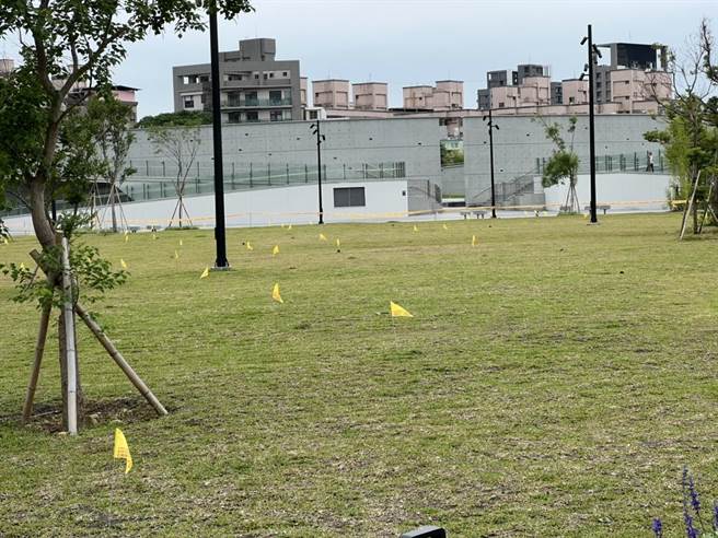 平鎮乙未公園有紅火蟻出沒，現場拉起封鎖線、插設警示旗幟。（黃敬平提供／蔡明亘桃園傳真）