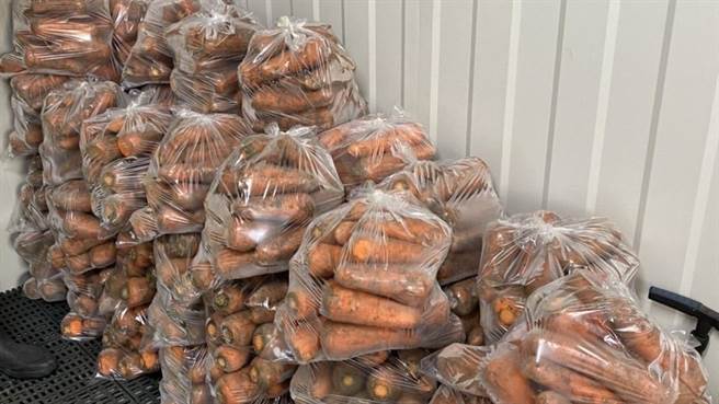 農友李承昌每周有400至500公斤的紅蘿蔔，固定賣給團膳業者，停課影響下，得另尋通路轉售。（李承昌提供／張毓翎台南傳真）