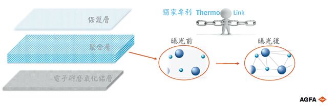爱克发的独特免冲版涂布科技与专利热感聚合科技，增加Azalea ZP的操作便利性与耐印量。图／爱克发提供