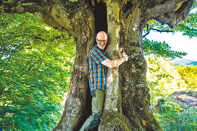 彼得渥雷本热爱大自然。（海鹏影业提供）