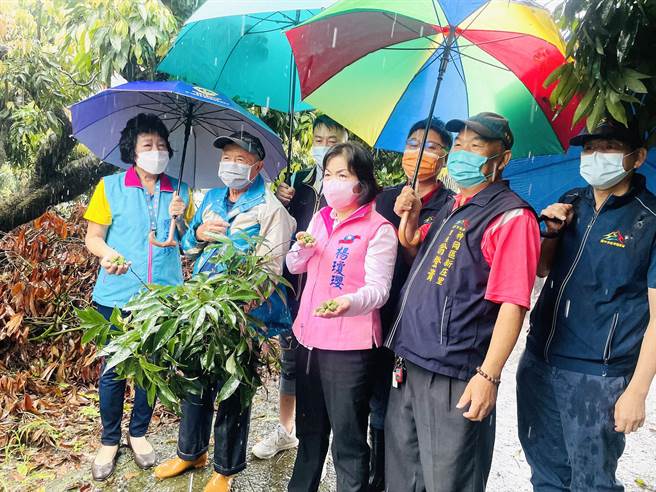 立委楊瓊瓔及市議員羅永珍27日邀集農糧署等單位，前往神岡新庄地區勘查荔枝災損情形。（陳世宗攝）