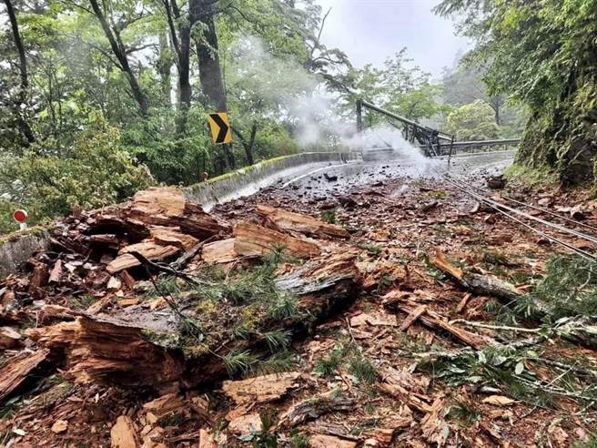 受到锋面影响台中出现连续强降雨冲刷，山城地区多处道路坍塌树木倾倒，目前正持续抢修中。（民眾提供）