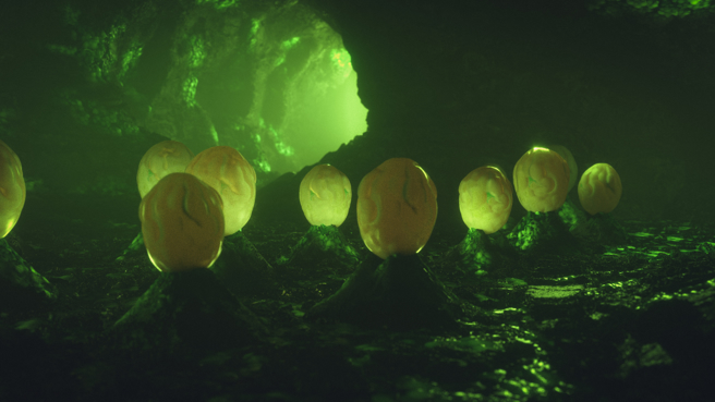 日本网友分享一张疑似「异形蛋」的照片，在网路上引发讨论，但这些其实是常见的大白菜。(示意图/达志影像)