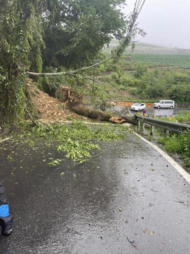 梅雨鋒面來襲，台中市和平區台7甲線環山路段，因連日降雨今天上午邊坡崩塌、樹木傾倒壓到電線，造成道路雙向阻斷，公路總局會同台電公司前往處理。（圖/ 中央社）