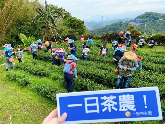 張倞霖近兩年積極轉型茶坊，提供品茶、吃茶、玩茶等遊程，讓民眾更貼近並認識茶葉。（美加茶園提供／張芷瑜台北傳真）