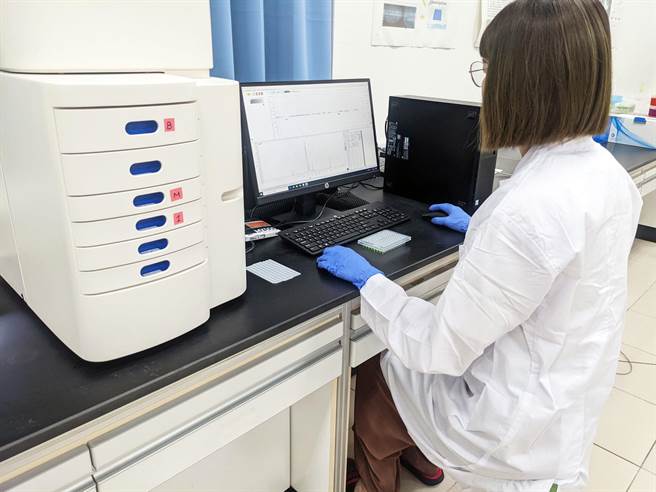 核酸鑑定人员进行春兰品种核酸图谱比对。（高雄区农改场提供／林和生屏东传真）