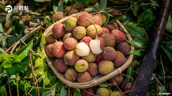 品觀點│冠軍爆甜玉荷包量販店上架  籽小肉厚又多汁產季限定│高雄