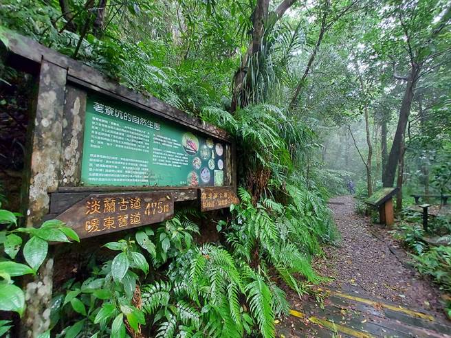基隆市淡兰百年山径步道很适合民眾造访，配合周边的自然及人文景观，享受安全又悠閒的防疫生活。（基隆市政府提供／张志康基隆传真）