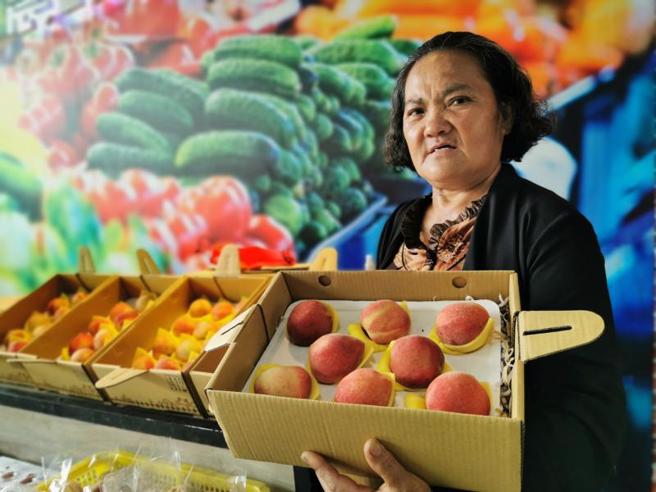 往年都在4月底、5月初上市的台东水蜜桃，今年一直到5月中旬过后才慢慢上市。果树专家卢柏松表示，今年春天雨水丰富影响结果，且今年到5月间普遍低温，也影响了果实晚熟。（图/ 中央社）