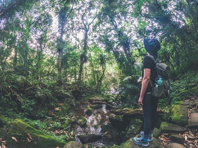 淡蘭古道被譽為一生中必訪的朝聖之路。（新北觀旅局提供／葉德正新北傳真）