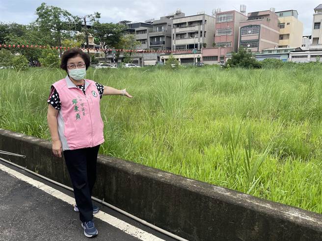 台中市议员邱素贞要求市府加速通盘检讨公园预定地开发，提供更多绿地空间。（邱素贞服务处提供／陈淑芬台中传真）