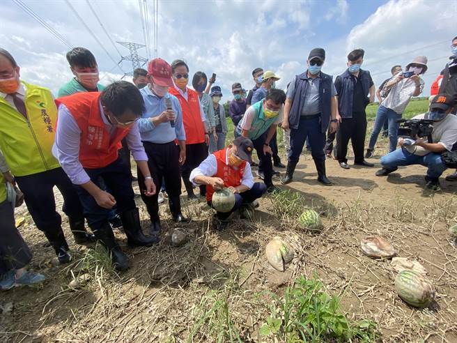 行政院长苏贞昌29日在农委会主委陈吉仲、农粮署长胡忠一陪以及立法院副院长蔡其昌陪同下到大肚与龙井间的小玉西瓜田勘灾。（冯惠宜摄）