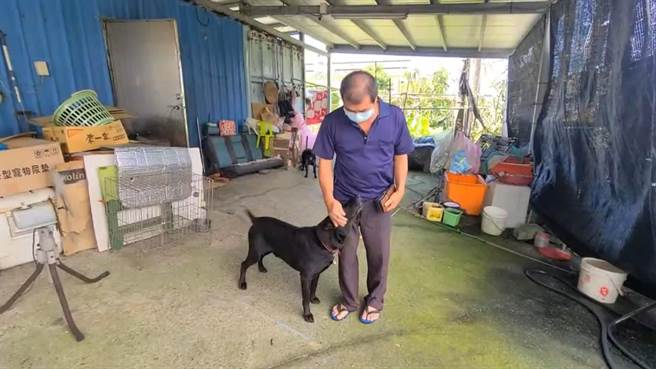 脸书ＰＯ文吴先生表示自家的狗也是去动植物防疫所领养的，牠们都很会撒娇。（民眾提供／吴佩蓉宜兰传真）
