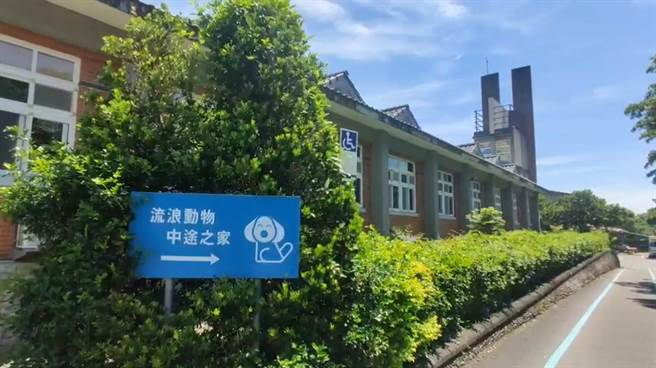 动植物防疫所呼吁民眾，领养代替购买，给牠们一个温暖的家。（民眾提供／吴佩蓉宜兰传真）