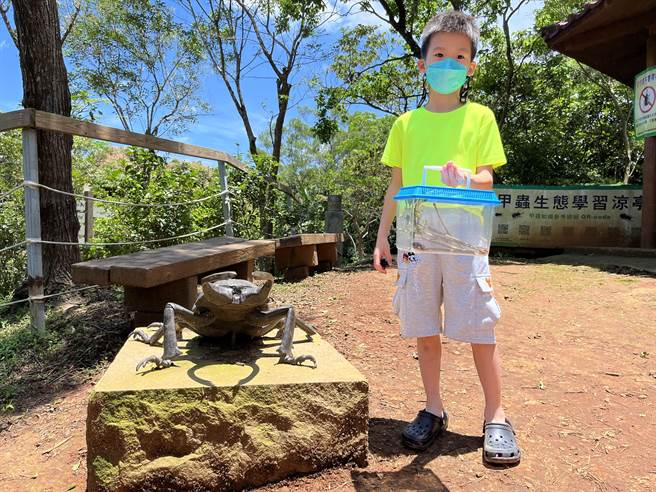 羊稠森林步道有不少孩子提着自己的昆虫盒来踏青。（陈梦茹摄）