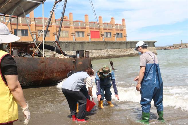 苗栗县副县长邓桂菊与眾人体验鱼苗放流。（苗栗县政府提供／李京升苗栗传真）