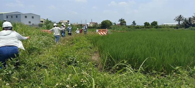 「彰化市山寮排水改善工程」第三期，採混擬土「三面光」垂直護岸，造成生態浩劫，環團進行生態調查，形容該區是「生態跳島」。（彰化縣環保聯盟提供／吳敏菁彰化傳真）
