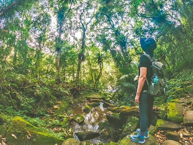 淡兰古道被誉为一生中必访的朝圣之路。（新北观旅局提供／叶德正新北传真）