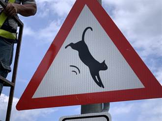 猴硐貓村「貓出沒」警示牌疑遭竊  交通局報案並重設標誌