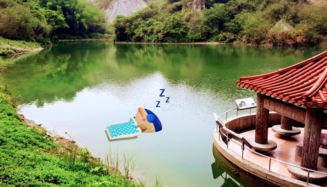 龍崎、鹽水、白河區都出現了魚頭君的蹤跡！(圖/臺南市政府觀旅局提供)