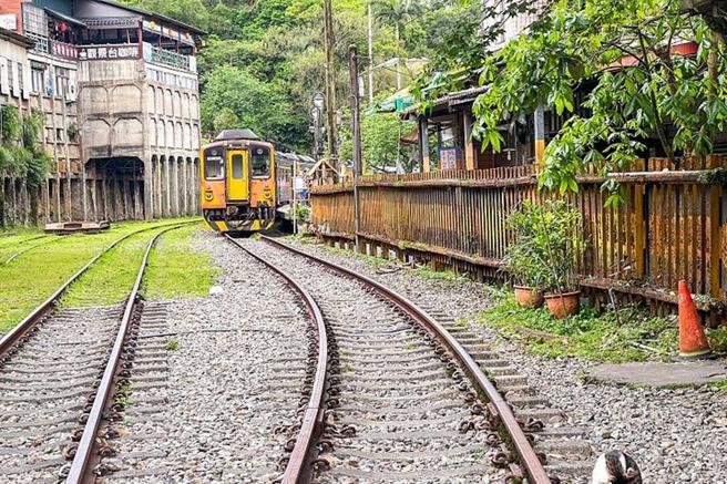 ▲菁桐洗选煤场遗址及火车驶过的景色充满浓浓怀旧感。　图：新北市政府观光旅游局／提供