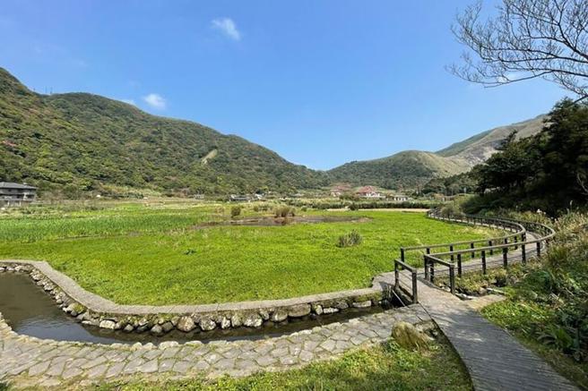 頂湖海芋步道沿途有花海還有溪流，也可遠眺小油坑。　圖：臺北市政府觀光傳播局／提供