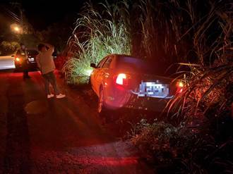 男深夜駕車行駛山路 為閃狗衝草叢受困