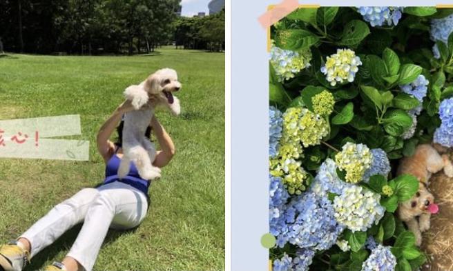 蔺奕》人总归是要歌唱的。（爱传媒提供）