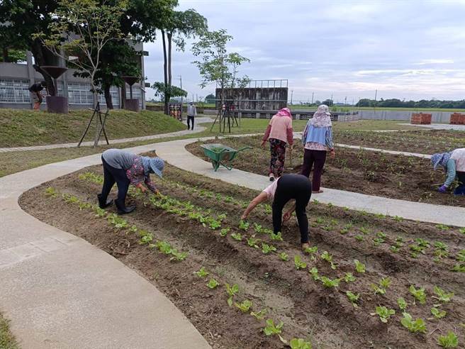 嘉義縣布袋鎮的正義國小廢校後廢棄，經水保局農村再生計畫與在地攜手合作，讓廢棄校園搖身一變成多功能場域，獲得2022建築園冶獎。（水保局提供／張亦惠嘉縣傳真）