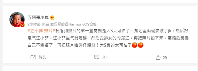 竟有相挺汪小菲的大陆网友质疑本次事件是大S阴谋。（图／取自微博）