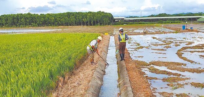 台南市一期稻作順利完成灌溉，6月中陸續展開二期稻作灌溉。（農田水利署嘉南管理處提供／程炳璋台南傳真）