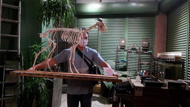 位于高雄市桃源区的农委会特生中心中海拔试验站，珍藏一座长鬃山羊骨骸标本3月间遭窃，六龟警方循线破案，前往刘姓犯嫌台中住处搜索，顺利找回标本。（图/ 中央社）