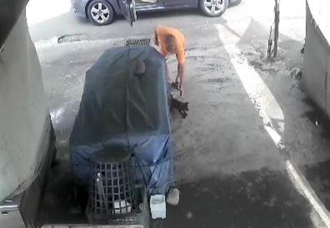 云林县口湖乡黄昏市场摊位陆续被丢弃20余只幼犬，装监视器逮人却无法可管。（刘姓民眾提供／张朝欣云林传真）