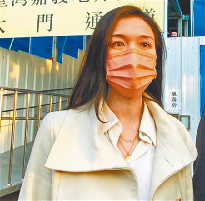 嘉义市议员戴寧涉诈领助理费被依贪污罪起诉。（本报资料照片）