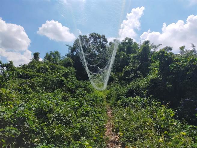 嘉义林管处4月于台南六甲山区发现违法鸟网。（嘉义林管处提供／刘秀芬台南传真）